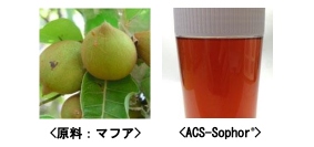 イワキ＜８０９５＞（東１）は１４日、シンガポールのＡＣＳ社との業務提携により天然界面活性剤市場に進出すると発表した。