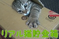 なかなかの危険度です…笑。