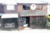 やらせているわけでも、遊んでる風でもなくお手伝いをしていますね！