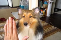 この結末はまったく予想外でした…笑。