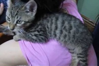 バランスボールならぬバランス肩です！