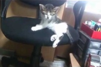 こんな風に戻ってこられたらトイレに行きたいのも我慢するかも！？