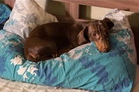 さぁ～そろそろ寝るか～と、枕でベッドメイキング！！