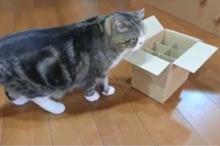 もうこんな狭い状態でも尻尾を見るとウキウキなんですね！