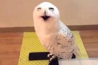 笑顔のイメージはなかったんですが、これは完全に笑ってますよね！