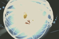 おなじみのポッポがピジョンに進化しているところ。