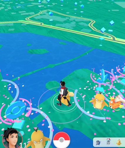 上野恩賜公園の不忍池付近では、水系ポケモンが大量に出現した。画面では、コダックが3体も出現している。