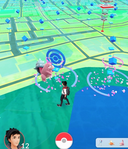 上野恩賜公園の不忍池近辺で出現したヤドラン。