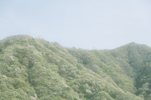 総務省が社会生活基本調査の結果から「山の日」(11日)にちなんで「登山・ハイキングを行った人の状況」をまとめた結果、男性は65歳から69歳、女性は60歳から64歳が最も多いことが分かった。