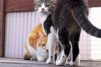 そのポーズでいいですか？そうですか、ではお願いします！みたいな？