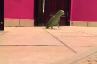 この感じだとお父さんかな？ドアから出てくるところからスタート！