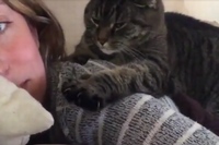 お姉さんの背後から爪をみせながら何をするかと思ったら！！