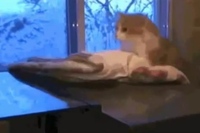 幸せと崩壊・・・このギャップが面白すぎです！