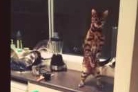 なぜこんなところに立ってるのか？謎は深まるばかり・・・。