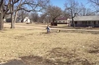 父がピッチャー、息子がバッター、わんこが野手で野球をやったら！？