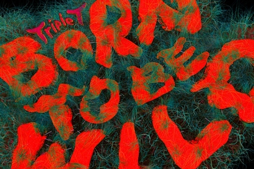 少女時代ヒョヨン、Miss Aミン、2AMチョ・グォンによるチームTriple T(トリプルティー)が25日、ついにベールを脱いだ。写真：SMエンターテインメント