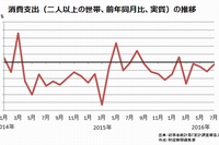 1世帯（2人以上）当たりの消費支出（物価変動の影響を除いた実質、前年同月比）の月次推移を示すグラフ。（出典：総務省「家計調査報告」）