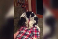 もう好きが溢れすぎて大変なことになってます！！