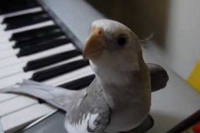 となりのトットロ、トットーロ♪なんとうまいじゃないですか！！