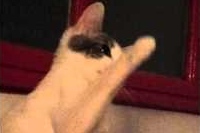 可愛くハイタッチ～！とやったところで、しっかりカメラ目線！！