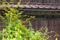 空き家問題が顕在化している。管理がなされていないまま不法侵入や放火の原因になることもあれば、周囲の景観も著しく悪化させる