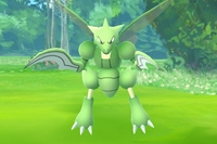 隅田公園（西側）で遭遇したストライク。