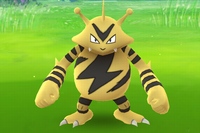 隅田公園（西側）で遭遇したエレブー。