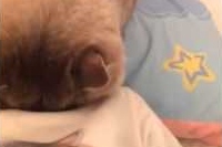 朝ですが…うーん起きそうもないな…(少し考える)寝るか…となった。