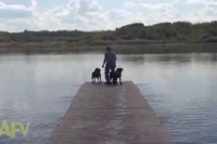 張り切って棒を投げたお父さんでしたが、わんこたちは賢かった！！