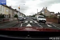 横断歩道で待つ猫を見つけたドライバーたちがとった行動にほっこり！