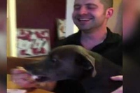 飼い主さんのロマンティックな気持ちとは裏腹に食べ物まっしぐら！！