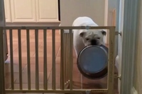 そうです、ちゃんと考えてあみだした方法なんですよ！？