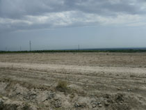 トゥラクルガン火力発電所の建設予定地。（出典: 国際協力機構（JICA））