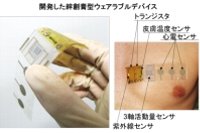 開発した絆創膏型ウェアラブルデバイス（大阪府立大学発表資料より）