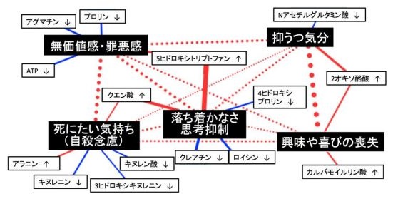 うつ病の各症状と、それに関連する血中代謝物の関係を表した図。赤字は正相関、青字は負相関。（図：九州大学発表資料より）
