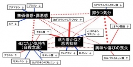 うつ病の各症状と、それに関連する血中代謝物の関係を表した図。赤字は正相関、青字は負相関。（図：九州大学発表資料より）