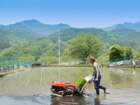 17年度予算案では、水田の畑地化推進に1034億円を計上。労働時間が不規則な酪農家の負担を削減するための機械化支援に60億円。営農が厳しい中山間地の農業支援に400億円が新たに設定された。しかし全体でみると17年度は目新しい項目が乏しく、農業の基盤整備に力点を置いている。