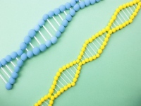 ITと生命科学の融合領域での研究開発材料のヒントを探るべく、先端テクノロジーに関するリサーチを提供するAQU先端テクノロジー総研は、10～60代の2200人を対象にアンケート調査を実施、IT、生命科学の融合領域においての関心度を計測した。