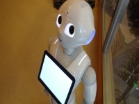 NTT東日本はサービスロボットの市場投入に注力する姿勢を見せている。同社は16年度にも、人工知能(AI)搭載型ロボットによる店舗窓口での応対支援サービスを始める。店頭での受け付け、接客、案内、商品紹介の用途でロボットを活用し、販売促進につなげる。