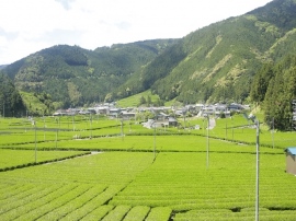 過疎地域への定住推進策として活用されている、総務省の「地域おこし協力隊」制度。過疎地の自治体が都市部から若者を受け入れ、地域活動を1～3年間行なってもらい、その後の定住を促すという制度だ
