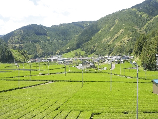 過疎地域への定住推進策として活用されている、総務省の「地域おこし協力隊」制度。過疎地の自治体が都市部から若者を受け入れ、地域活動を1～3年間行なってもらい、その後の定住を促すという制度だ