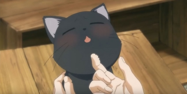 猫好きなら見ておきたい「猫の出るアニメ」はこれだ!!