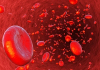 人体の全細胞のうち、70％ほどを占めているのが、赤血球である。