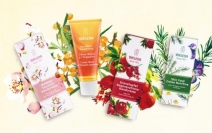 ヴェレダ（WELEDA）人気のハンドクリームが、この春限定パッケージで登場