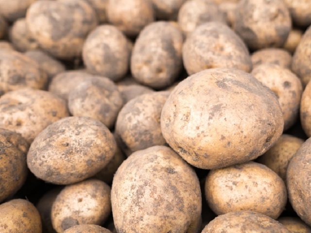 農林水産省は3月の野菜の生育状況及び価格見直しについて発表した。ジャガイモ、ニンジン、ハクサイなどの野菜価格高騰はしばらく続きそうだ