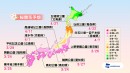 桜開花予測 桜開花予測