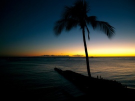 海外旅行ではハワイを始め、ビーチリゾートが変わらぬ人気を集めている。G.W.の海外渡航者は約57万人と予測されているが、格安旅行会社には無登録業者が増えている。旅行代金詐取のトラブルに巻き込まれないためにも確かな業者を選ぶことが求められる。 海外旅行ではハワイを始め、ビーチリゾートが変わらぬ人気を集めている。G.W.の海外渡航者は約57万人と予測されているが、格安旅行会社には無登録業者が増えている。旅行代金詐取のトラブルに巻き込まれないためにも確かな業者を選ぶことが求められる。