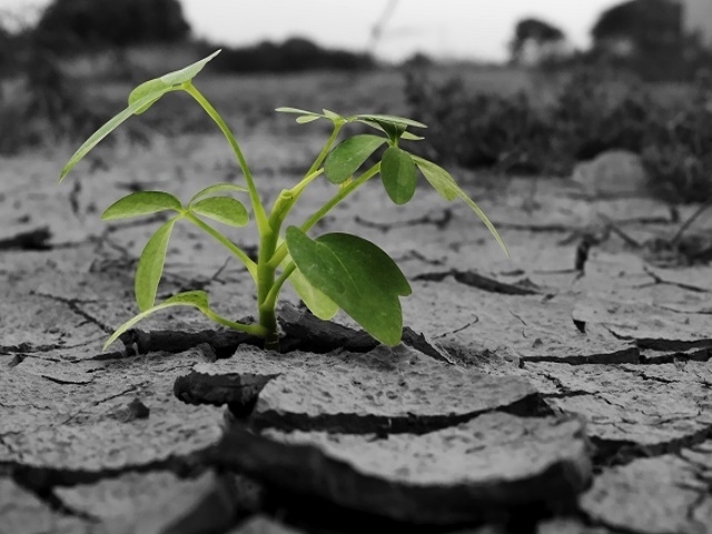 世界では全人口の約3分の2が何らかの水不足に直面している。さらには、世界人口の約66%にあたる約40億人が、1年間のうち1カ月以上も、適切な真水の供給を得られずに生活していることが、科学誌「サイエンス・アドバンシズ」に発表された。