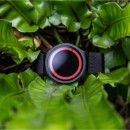 ZIIIRO Eclipse ZIIIRO Eclipse