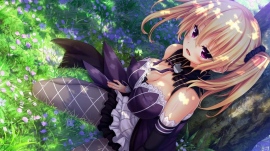 夏アニメ『ノラと皇女と野良猫ハート』OP作編曲は『ラブライブ!』でも有名な森慎太郎さん! Twitterで種﨑敦美さん他キャスト直筆サイン入り台本ゲットのチャンス!? コラボカフェの詳細も発表!!
